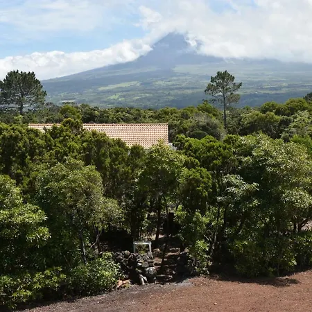 בית נופש Adega Mourato