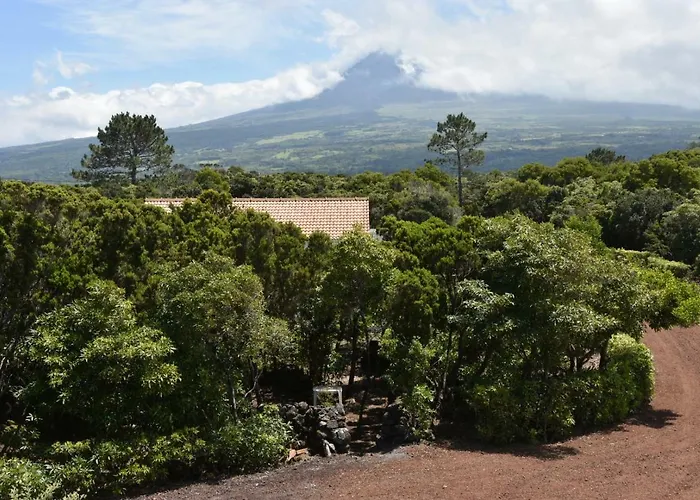 Vakantiehuis Adega Mourato