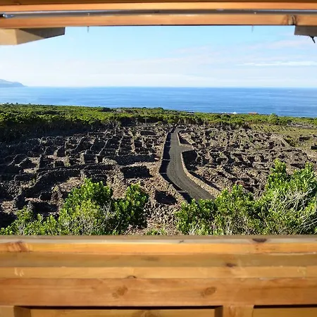 Adega Mourato Holiday home *