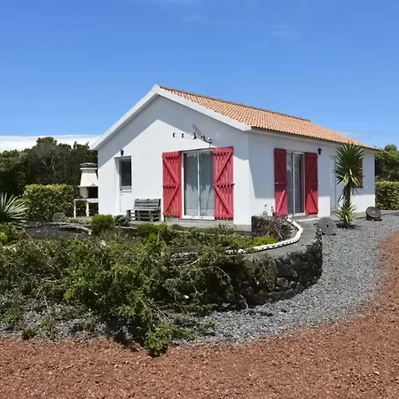 Adega Mourato Holiday home *