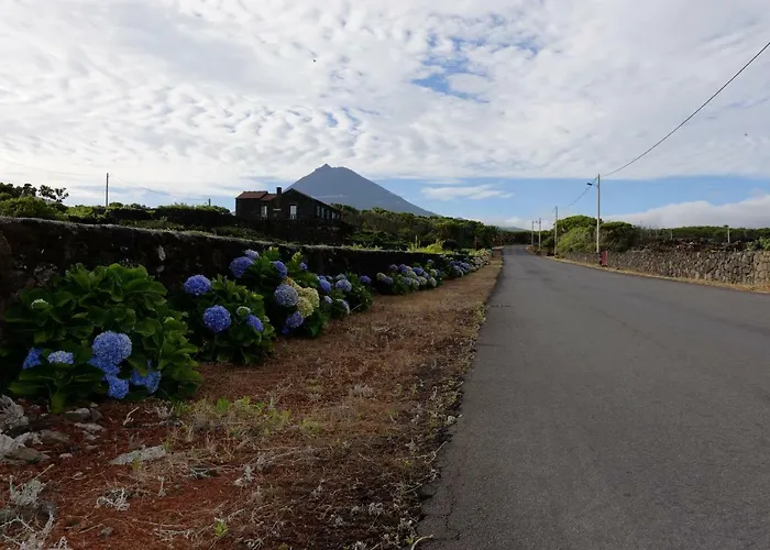 Adega Mourato Holiday home